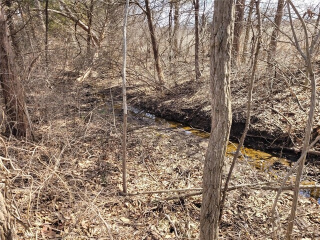 762 Cave Farm Rd, Troy, MO 63379 - view of local wilderness