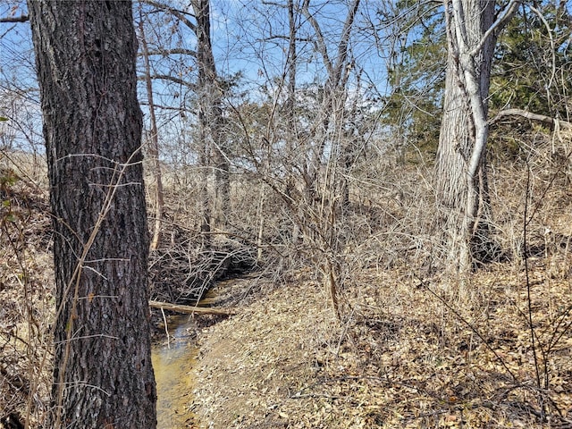 762 Cave Farm Rd, Troy, MO 63379 - view of local wilderness