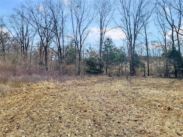 762 Cave Farm Rd, Troy, MO 63379 - view of local wilderness