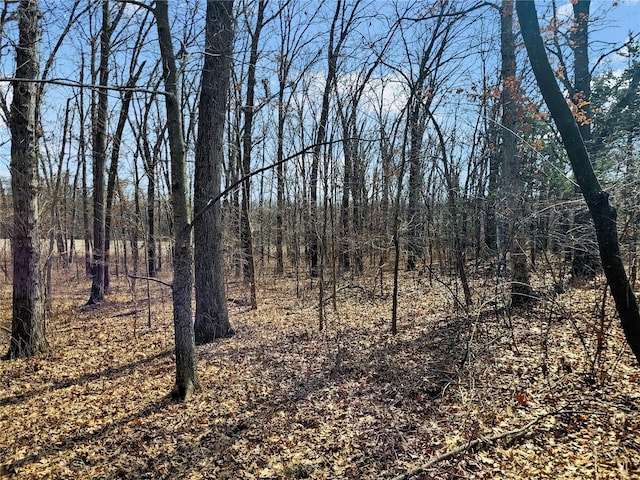 762 Cave Farm Rd, Troy, MO 63379 - view of wooded area