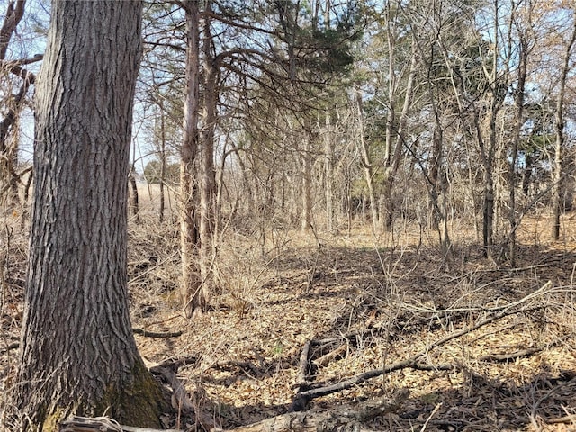 762 Cave Farm Rd, Troy, MO 63379 - view of nature