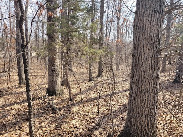 762 Cave Farm Rd, Troy, MO 63379 - view of nature