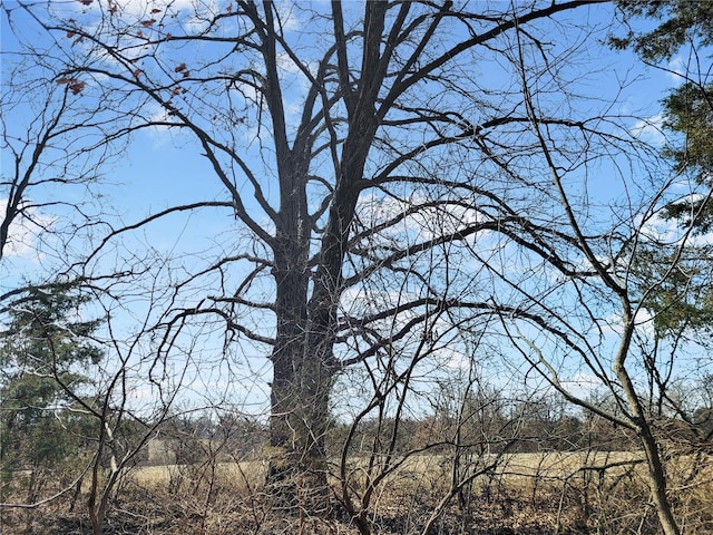 762 Cave Farm Rd, Troy, MO 63379 - view of nature