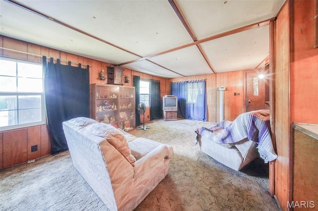 108 Seven Cedars Rd, Steelville, MO 65565 - photo 11