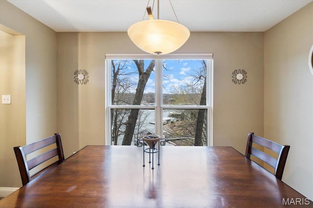 1500 Swiss Village Rd, Osage Beach, MO 65065 - dining room featuring healthy amount of natural light