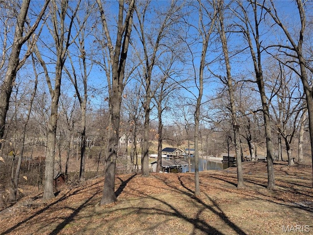 20 Denzel Dr, Greenville, IL 62246 - view of yard featuring a water view