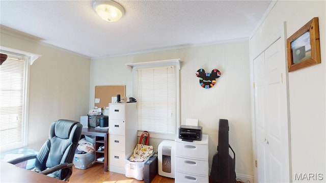 20 Denzel Dr, Greenville, IL 62246 - home office with ornamental molding and light wood finished floors