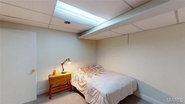 20 Denzel Dr, Greenville, IL 62246 - photo 39
