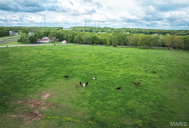 24265 Vinyard Rd, Cuba, MO 65453 - view of rural area