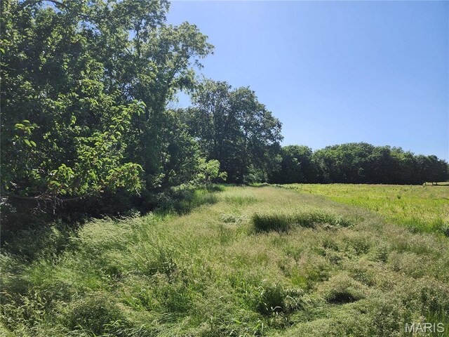 2508 Bloomington Rd, East Peoria, IL 61611 - photo 3