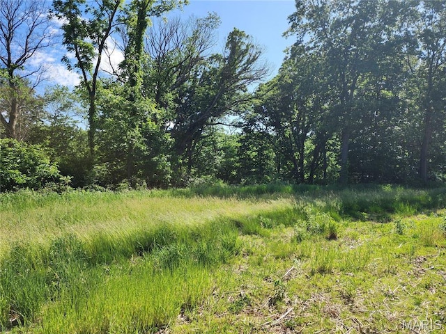 2508 Bloomington Rd, East Peoria, IL 61611 - photo 4