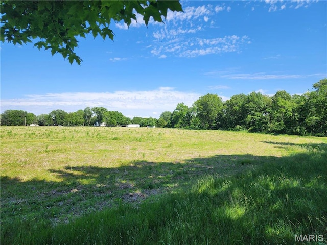2508 Bloomington Rd, East Peoria, IL 61611 - photo 6