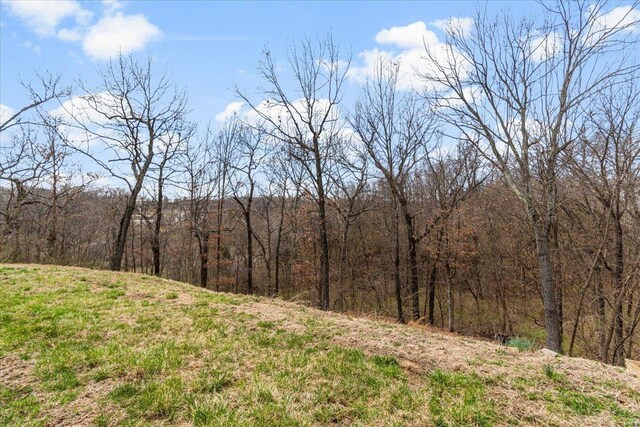 9 Amber Ridge Ct, High Ridge, MO 63049 - view of woods