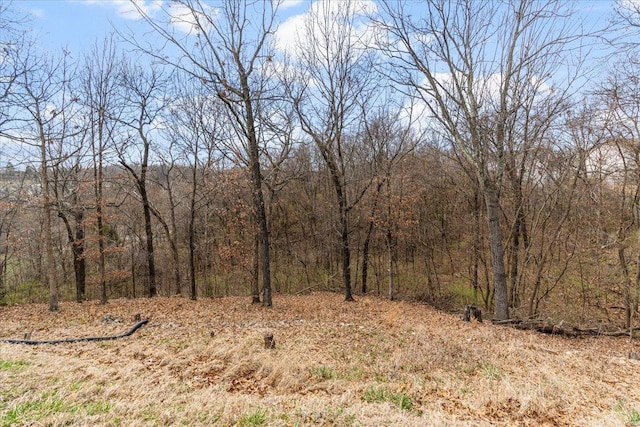 9 Amber Ridge Ct, High Ridge, MO 63049 - view of tree filled area