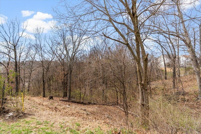 9 Amber Ridge Ct, High Ridge, MO 63049 - view of wooded area