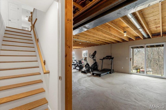 9 Amber Ridge Ct, High Ridge, MO 63049 - view of exercise area