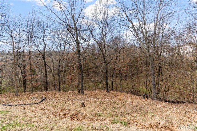 9 Amber Ridge Ct, High Ridge, MO 63049 - view of wooded area