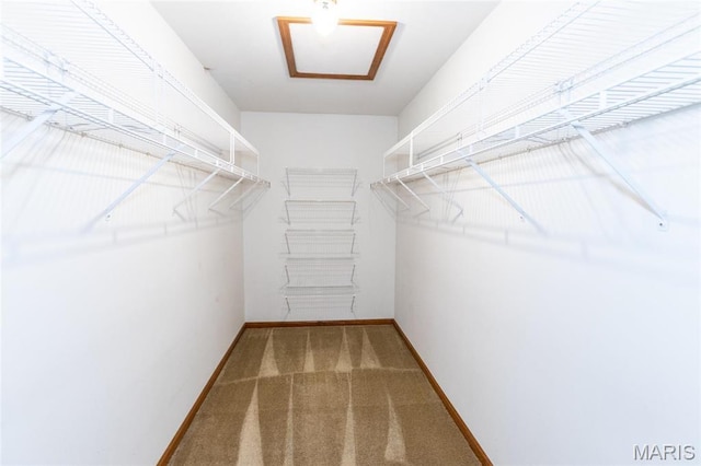 14 Webster Oaks Dr, Webster Groves, MO 63119 - spacious closet with carpet flooring
