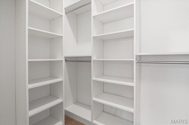 504 Coppice Ct, Wentzville, MO 63385 - view of spacious closet