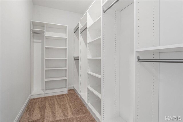 504 Coppice Ct, Wentzville, MO 63385 - walk in closet featuring carpet