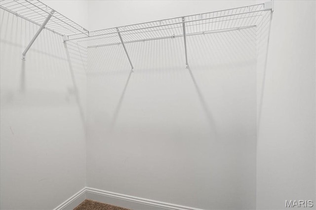 504 Coppice Ct, Wentzville, MO 63385 - view of walk in closet