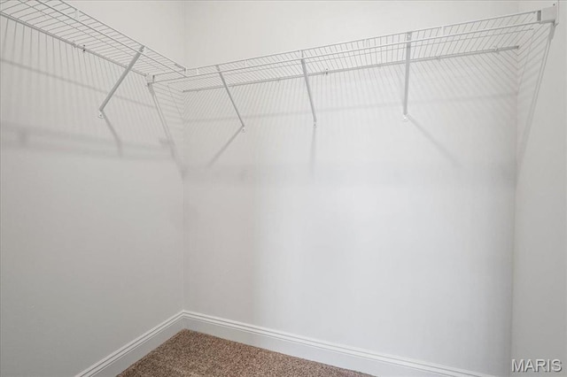 504 Coppice Ct, Wentzville, MO 63385 - spacious closet featuring dark colored carpet