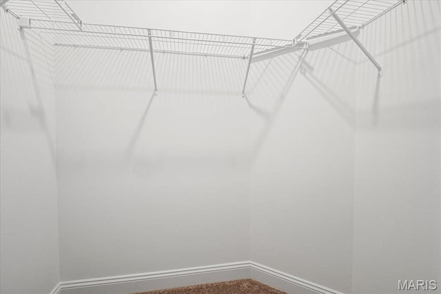 504 Coppice Ct, Wentzville, MO 63385 - view of walk in closet