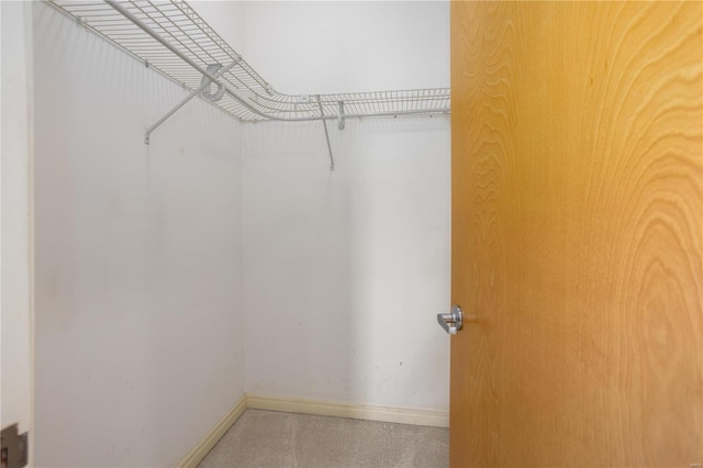 spacious closet featuring carpet flooring