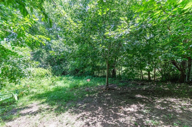 1019 Kinzer, Poplar Bluff, MO 63901 - view of undeveloped land