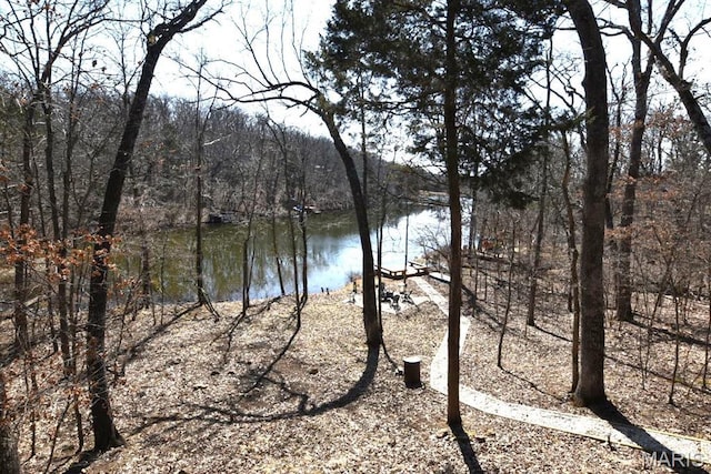 water view with a heavily wooded area