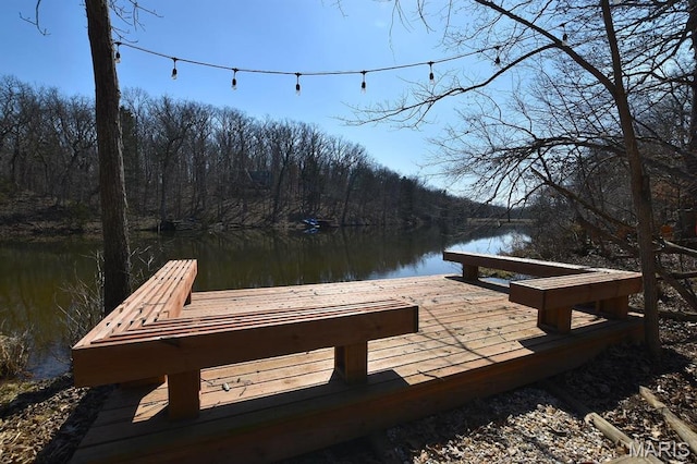 dock with a water view and a forest view