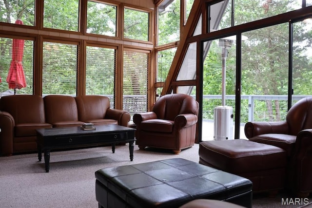 856 Aspen Lake Dr, Innsbrook, MO 63390 - view of carpeted living area