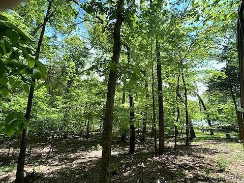 856 Aspen Lake Dr, Innsbrook, MO 63390 - view of local wilderness