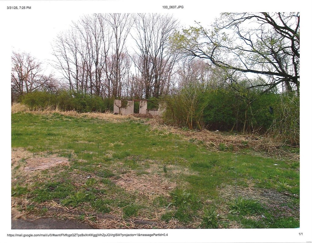 805 Piggott E, St Louis, IL 62201 - photo 1