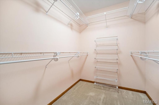 221 Greiner Ct, Ellisville, MO 63021 - walk in closet featuring carpet floors