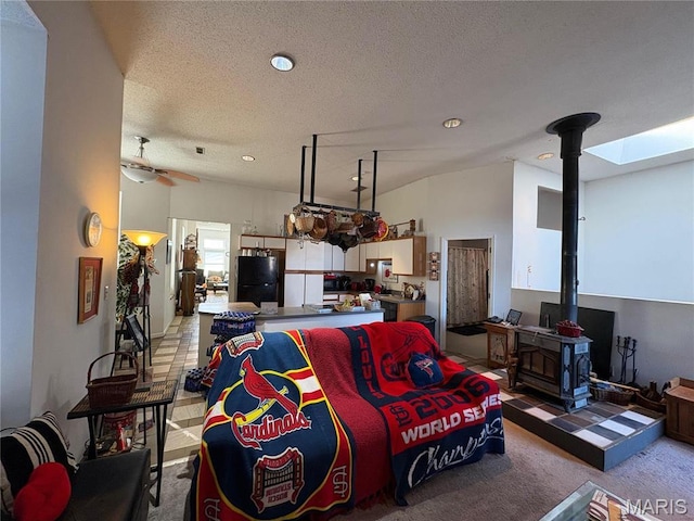 4149 Shenandoah Ave, Saint Louis, MO 63110 - photo 8
