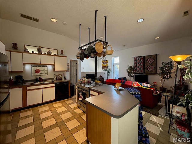 4149 Shenandoah Ave, Saint Louis, MO 63110 - photo 13
