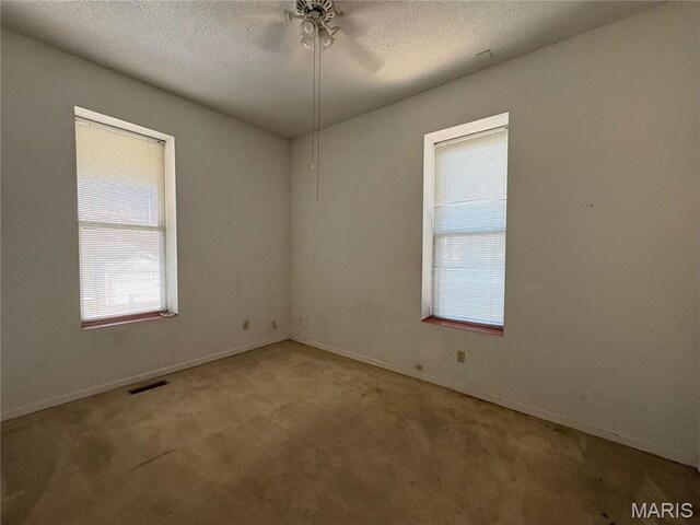 4149 Shenandoah Ave, Saint Louis, MO 63110 - photo 31