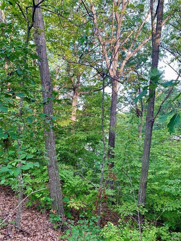 288 Sequoyan Ct, Canton, MO 63435