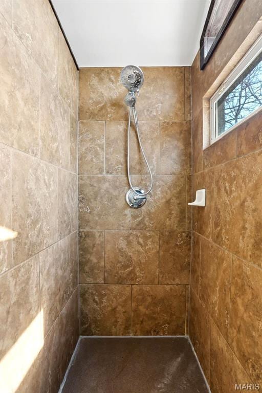 502 W 5th St, Washington, MO 63090 - bathroom featuring a tile shower