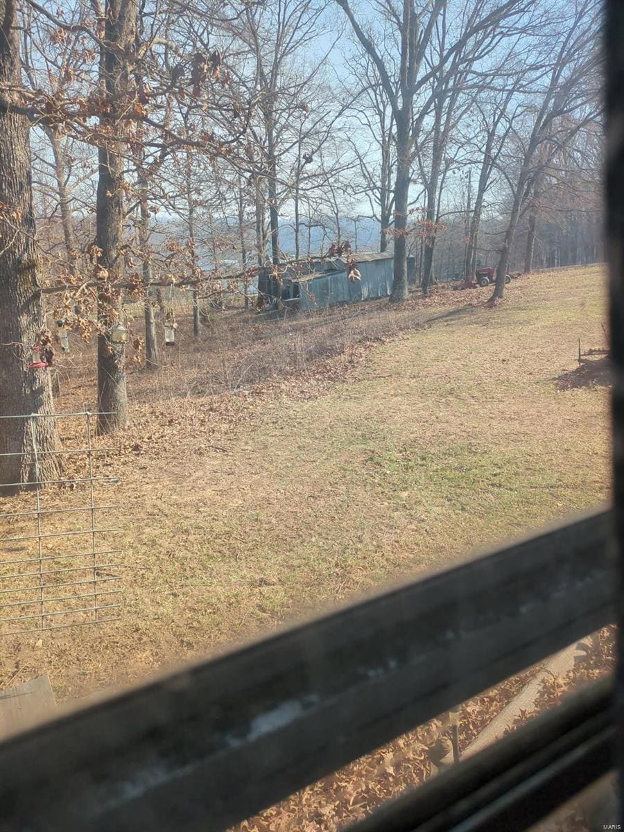 2577 Rr 2, Marble Hill, MO 63764 - view of yard