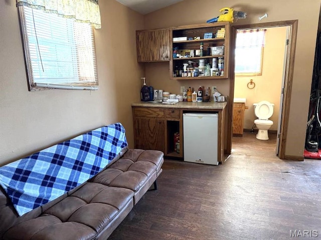 27409 Missouri Dr, Lebanon, MO 65536 - indoor dry bar featuring refrigerator, wood finished floors, and plenty of natural light