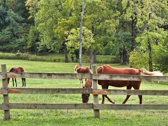 27409 Missouri Dr, Lebanon, MO 65536 - gate with a forest view and a rural view