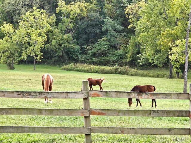 27409 Missouri Dr, Lebanon, MO 65536 - view of yard with a view of countryside and a view of trees