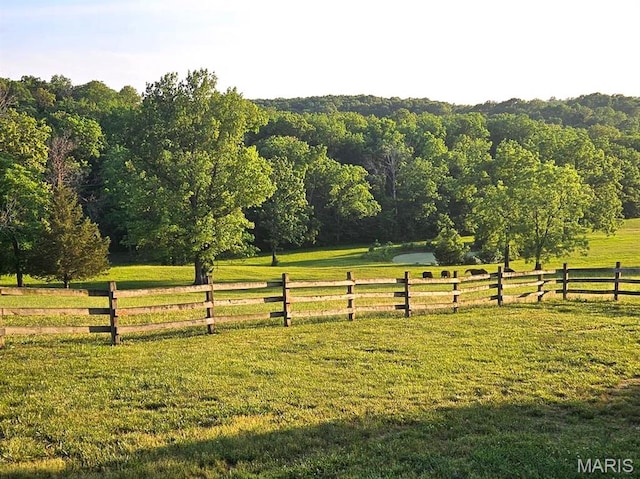 27409 Missouri Dr, Lebanon, MO 65536 - view of yard featuring a rural view