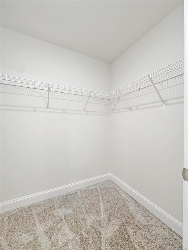 220 Great Bear Pass, Foristell, MO 63348 - walk in closet with carpet flooring