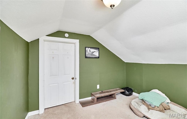 125 Lithia Ave, Saint Louis, MO 63119 - bonus room with lofted ceiling, carpet floors, baseboards, and a textured ceiling