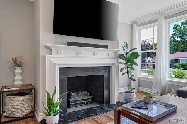 927 Gay Ave, Saint Louis, MO 63130 - living room featuring a fireplace, ornamental molding, wood finished floors, and baseboards