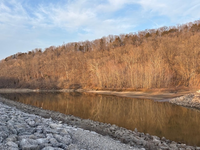 2 Bluffview Dr, Acre Tract Center, MO 63436