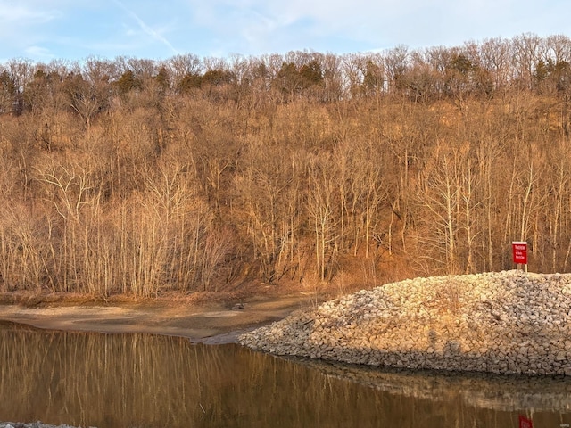 2 Bluffview Dr, Acre Tract Center, MO 63436